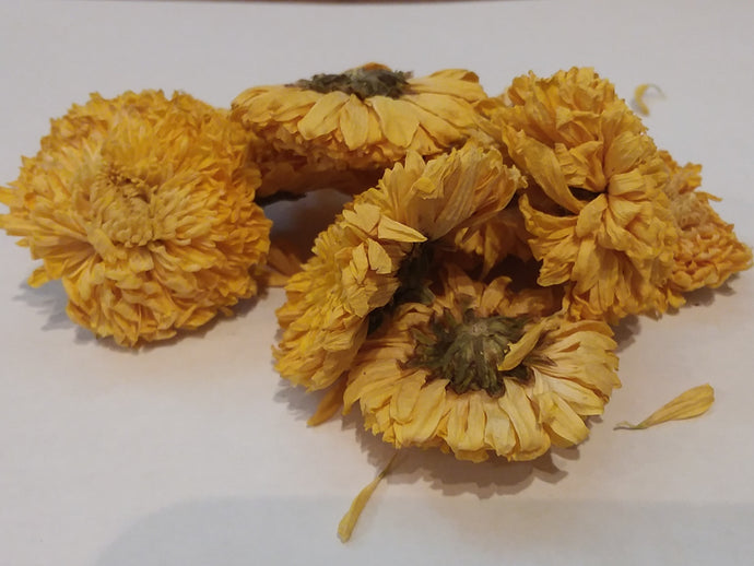 Golden Chrysanthemum Flower Herbal Tea